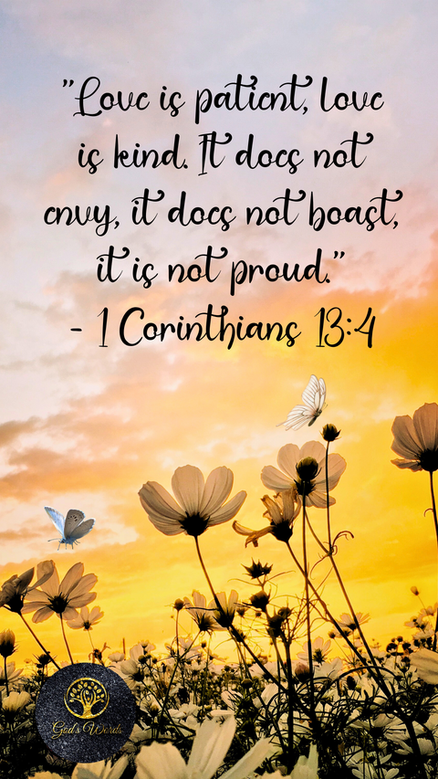 love is patient